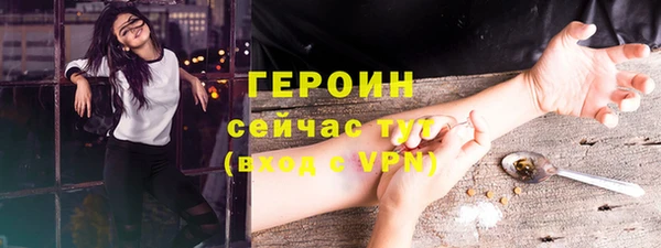 гидра Заводоуковск