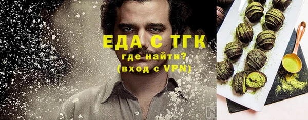 гидра Заводоуковск