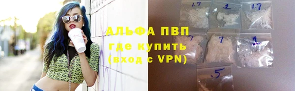 гидра Заводоуковск