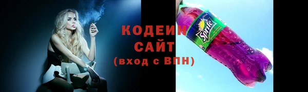 гидра Заводоуковск