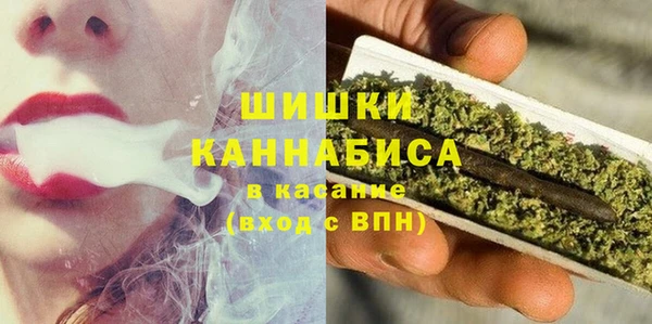 гидра Заводоуковск