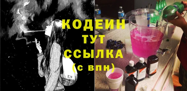 гидра Заводоуковск