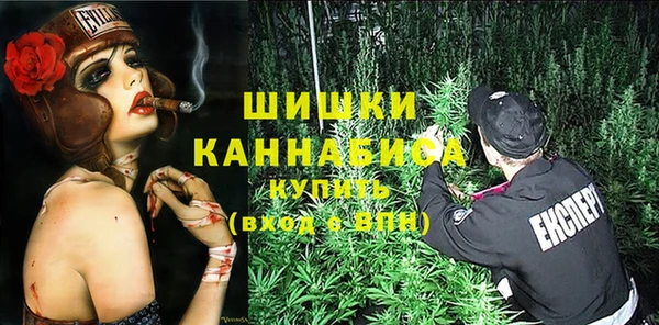 гидра Заводоуковск