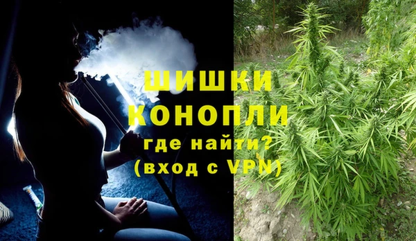 гидра Заводоуковск